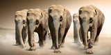 Africa Elephants Canvas Painting AlansiHouse 50x100cm No Frame NP238 