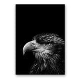 Africa Wild Animals Black White Canvas Painting AlansiHouse 60x80 cm no frame 1 eagle 