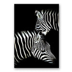 Africa Wild Animals Black White Canvas Painting AlansiHouse 60x80 cm no frame 3 zebra 