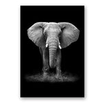 Africa Wild Animals Black White Canvas Painting AlansiHouse 60x80 cm no frame elephant 