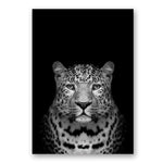 Africa Wild Animals Black White Canvas Painting AlansiHouse 60x80 cm no frame leopard 