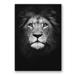 Africa Wild Animals Black White Canvas Painting AlansiHouse 60x80 cm no frame lion 