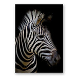 Africa Wild Animals Black White Canvas Painting AlansiHouse 60x80 cm no frame zebra 