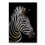 Africa Wild Animals Black White Canvas Painting AlansiHouse 60x80 cm no frame zebra 