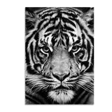 Africa Wild Animals Black White Canvas Painting AlansiHouse 60x90cm no frame 1 tiger 