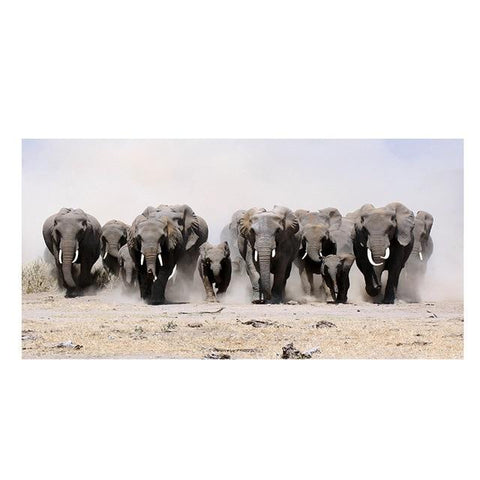 Contemporary African Animal Canvas Paintings AlansiHouse 20x40cm no frame PA1440 